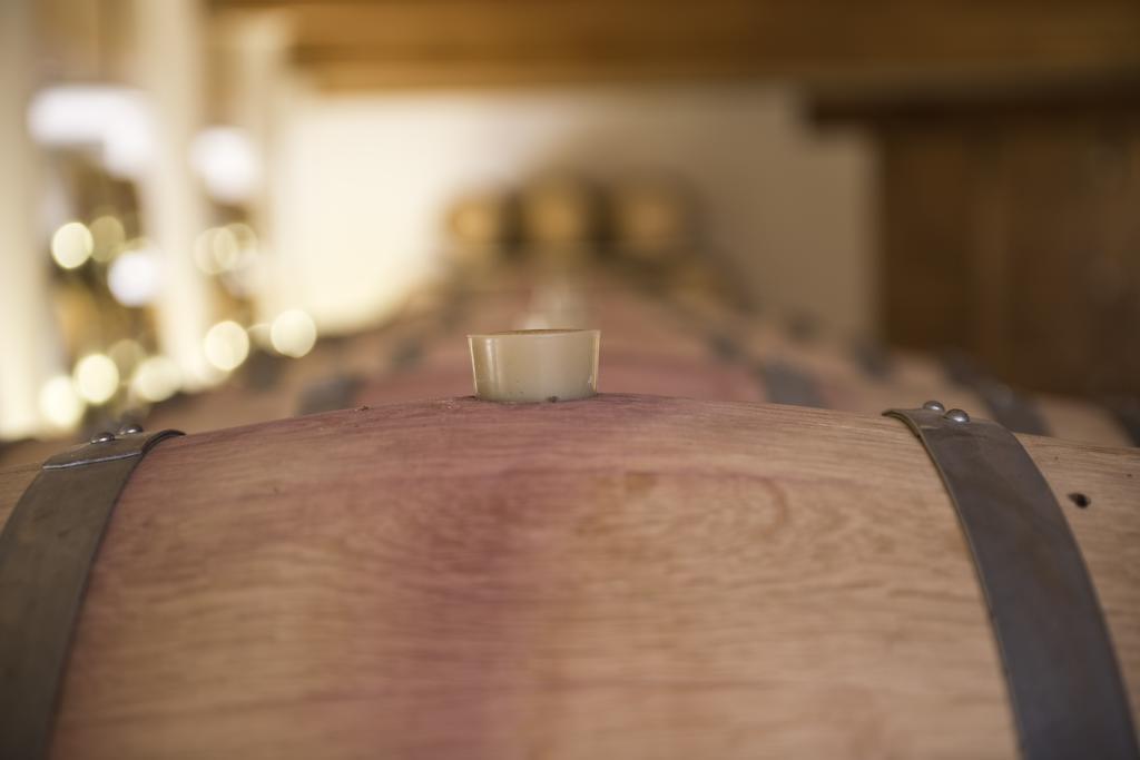 Séjour à la ferme Cincinnato Wine *