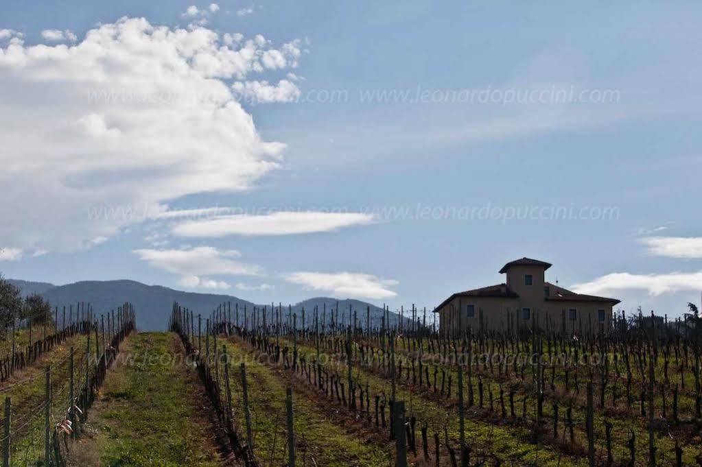 Cincinnato Wine Séjour à la ferme