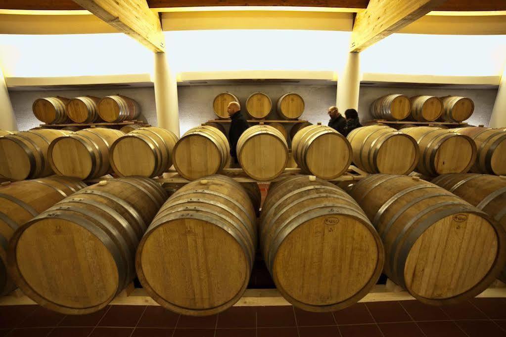 Séjour à la ferme Cincinnato Wine *